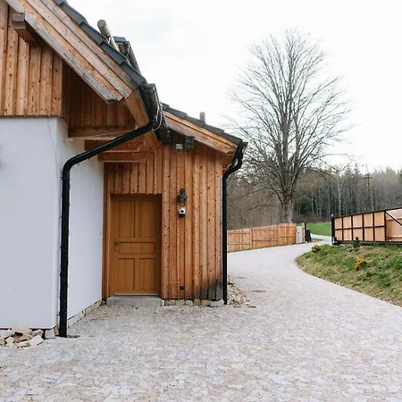 Vyton 263 Apartman *